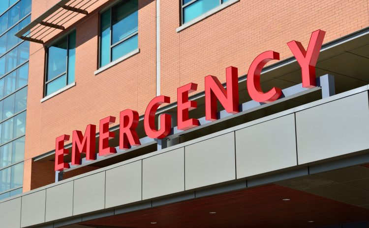  The Living Will – Optimally Protected in Case of Emergency